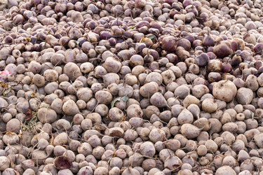 Similar image 21081432