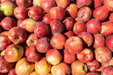 Similar image 21081433