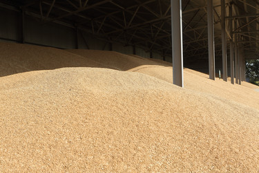 Similar image 21083849