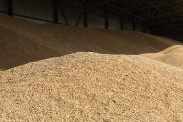 Similar image 21083850