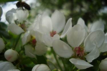 Similar image 21105568