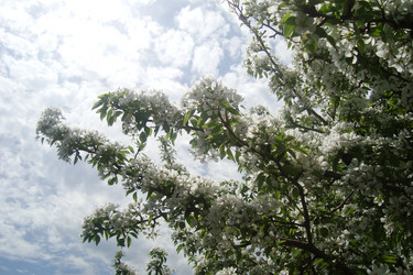 Similar image 21113749