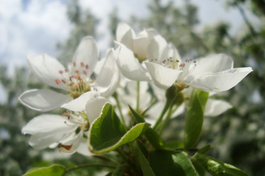 Similar image 21113750