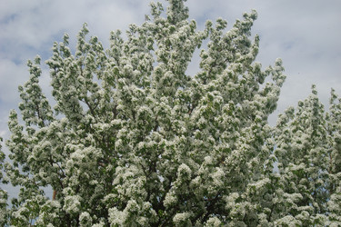 Similar image 21113751