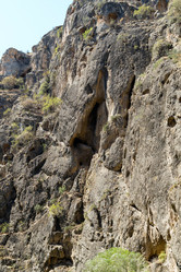 Similar image 21083270