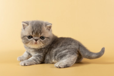 Similar image 21082970