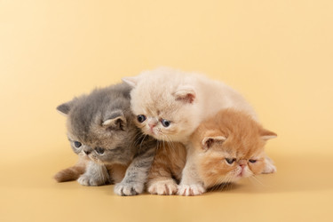 Similar image 21082971