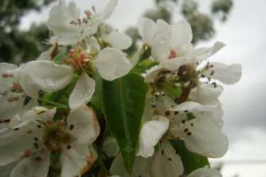 Similar image 21113752