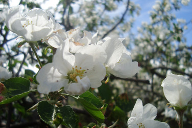 Similar image 21113755