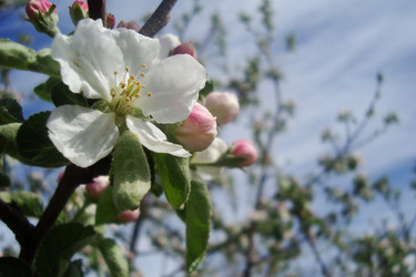 Similar image 21113756