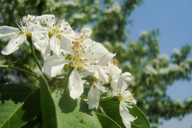 Similar image 21113757