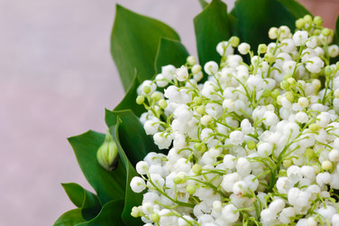 Similar image 21127934