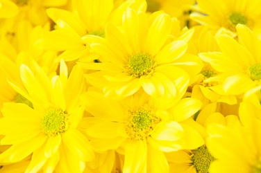 Similar image 21127978