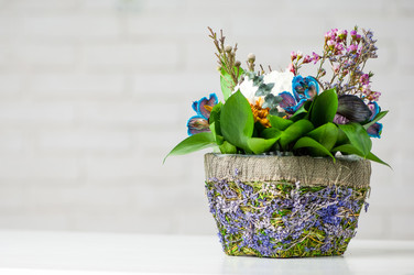 Similar image 21127979