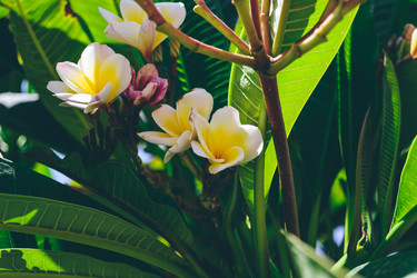 Similar image 21083077