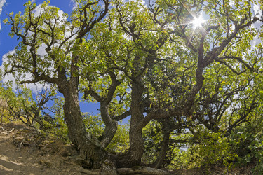 Similar image 21083288