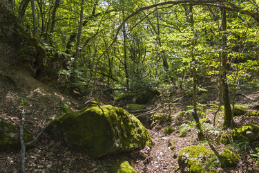 Similar image 21083293