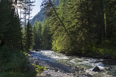 Similar image 21083295