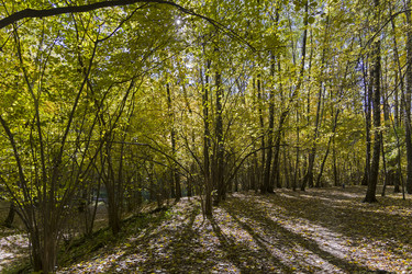 Similar image 21083296