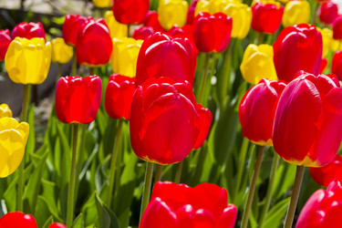 Similar image 21083300