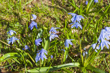 Similar image 21082993