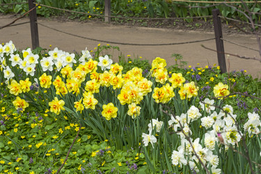 Similar image 21082995