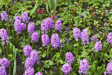 Similar image 21082996