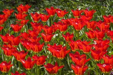 Similar image 21082997