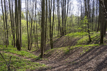 Similar image 21083000