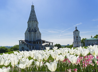 Similar image 21083004