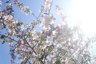 Similar image 21113758