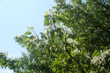 Similar image 21113968