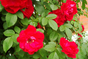 Similar image 21113969