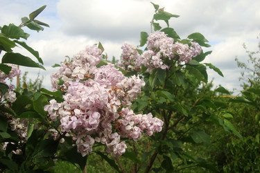 Similar image 21113970