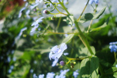 Similar image 21083307