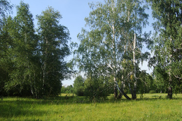 Similar image 21083308