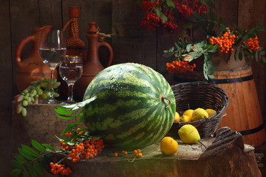 Similar image 21111363