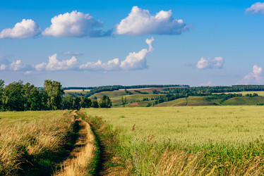 Similar image 21084217