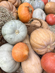 Similar image 21091855