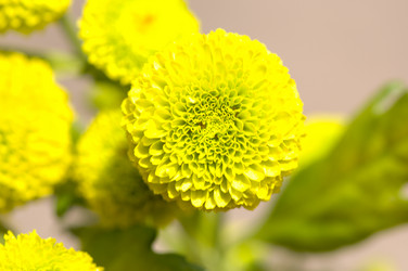 Similar image 21130367