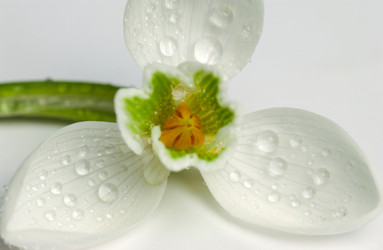 Similar image 21130369