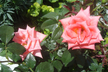 Similar image 21113971