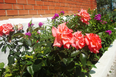 Similar image 21113972