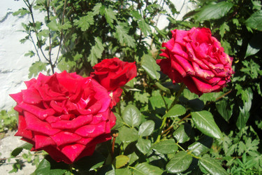 Similar image 21113973