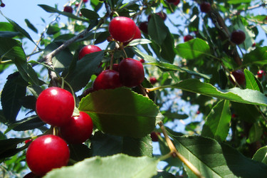 Similar image 21083312