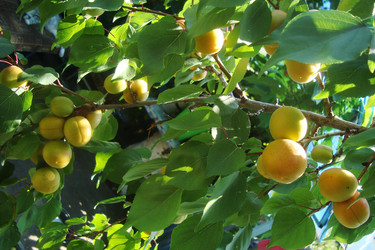 Similar image 21083313