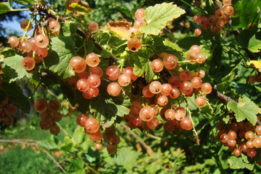 Similar image 21083314