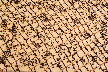 Similar image 21128067