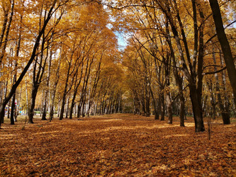 Similar image 21083021