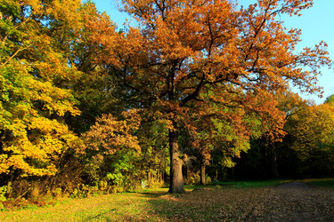 Similar image 21083022